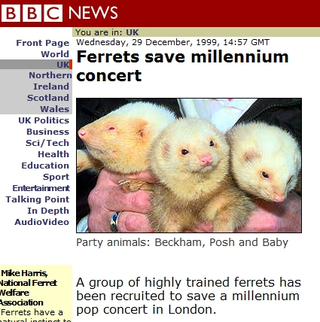 Illustration for article titled A history of working ferrets